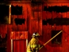 An Orleans Township fire fighter works through the smoldering remains of a barn at Three-Way Acres in Belding on Krupp Road. At least five fire departments responded to the blaze which killed several animals, including baby sheep.