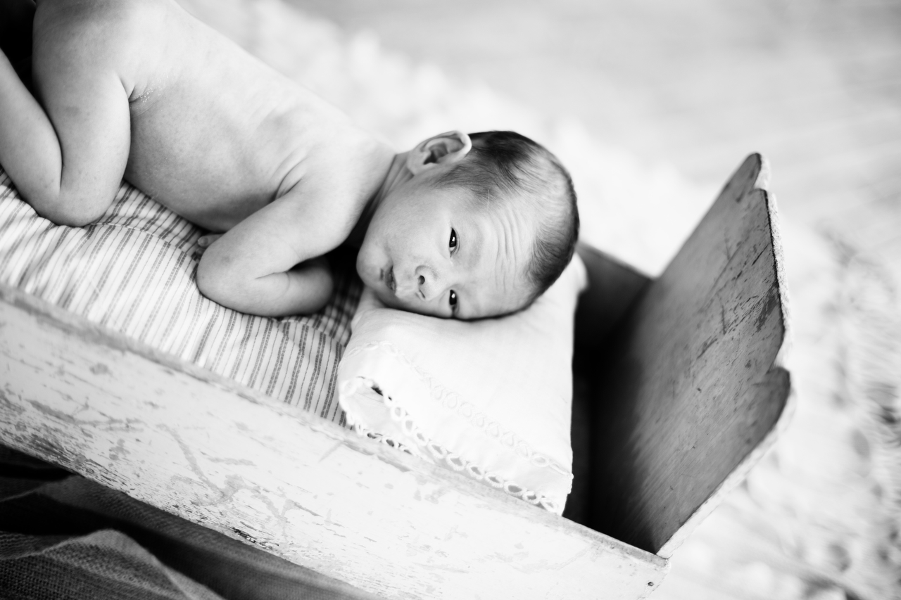 Newborn Shoot001